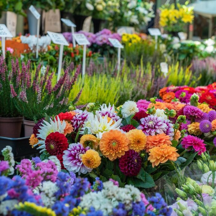 Colorful Bouquets of Flowers on Street Market