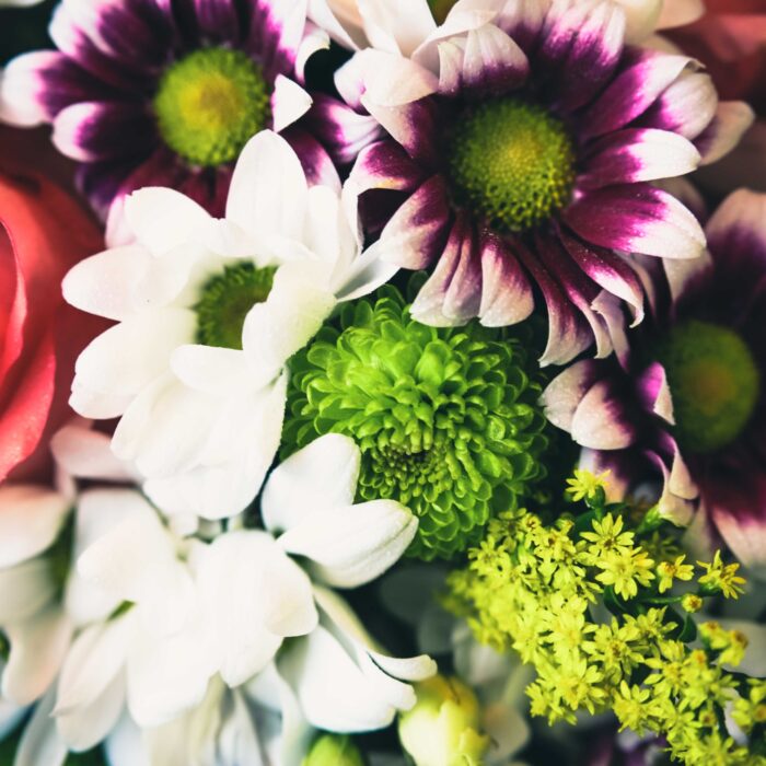 138682643_m_normal_none