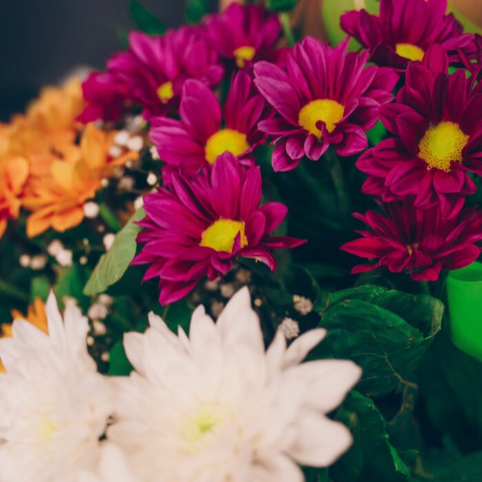 140677749_m_normal_none