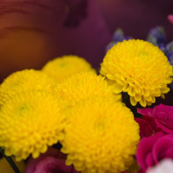 142183539_m_normal_none